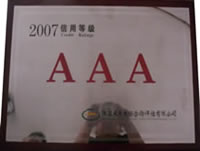 信用等級(jí)